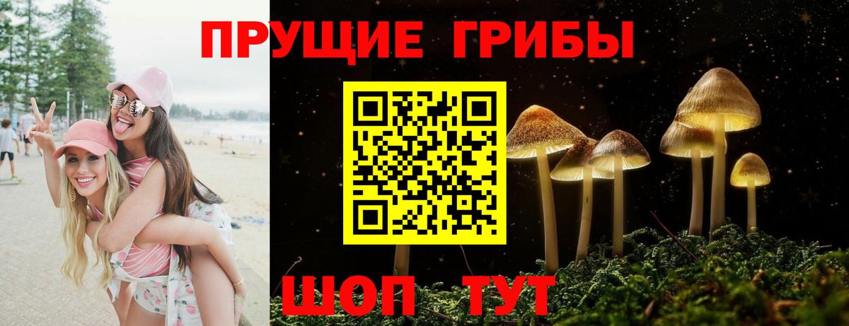 Галлюциногенные грибы Cubensis Сибай
