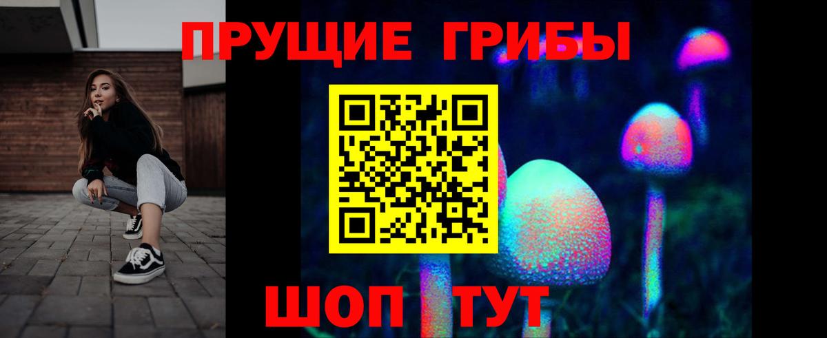 Псилоцибиновые грибы Psilocybine cubensis  Псилоцибиновые грибы GOLDEN TEACHER  Сибай  Вход с VPN 